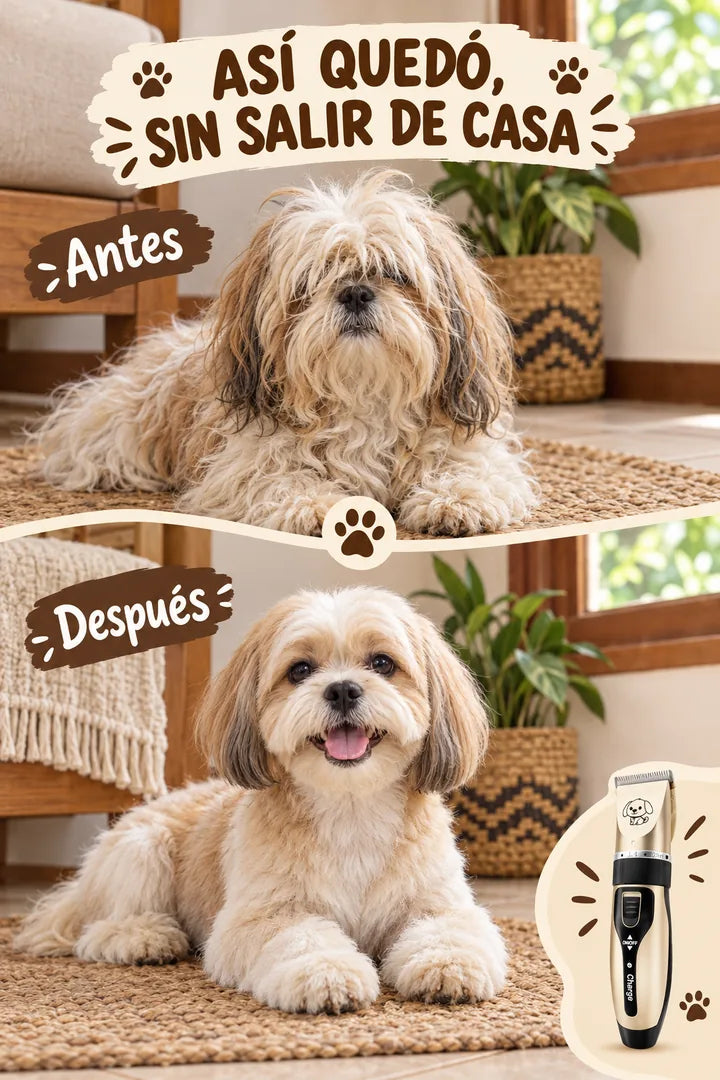 Antes y después: así quedó, sin salir de casa