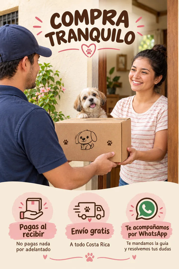 Compra tranquilo: pagas al recibir, envío gratis, te acompañamos por WhatsApp