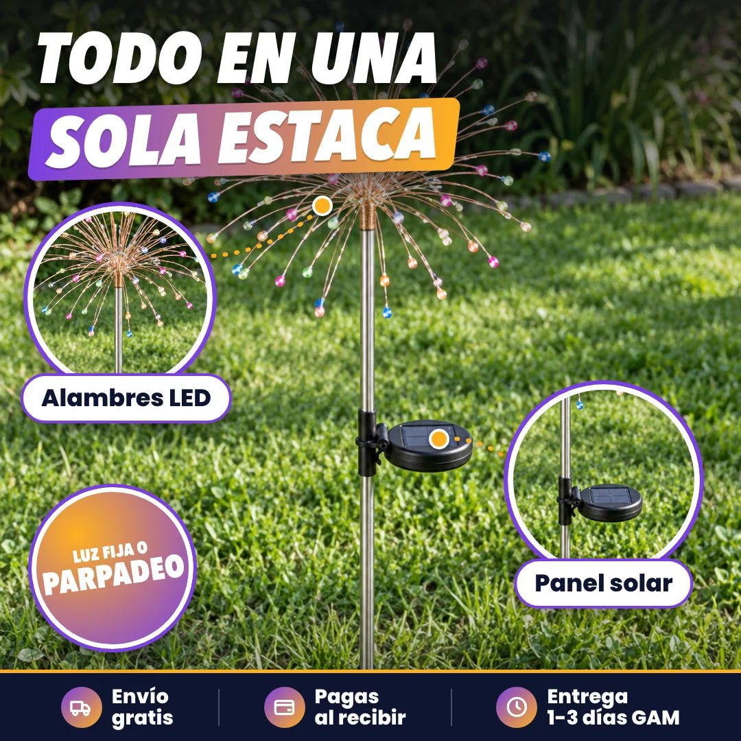 ¿Qué la hace diferente? 💡